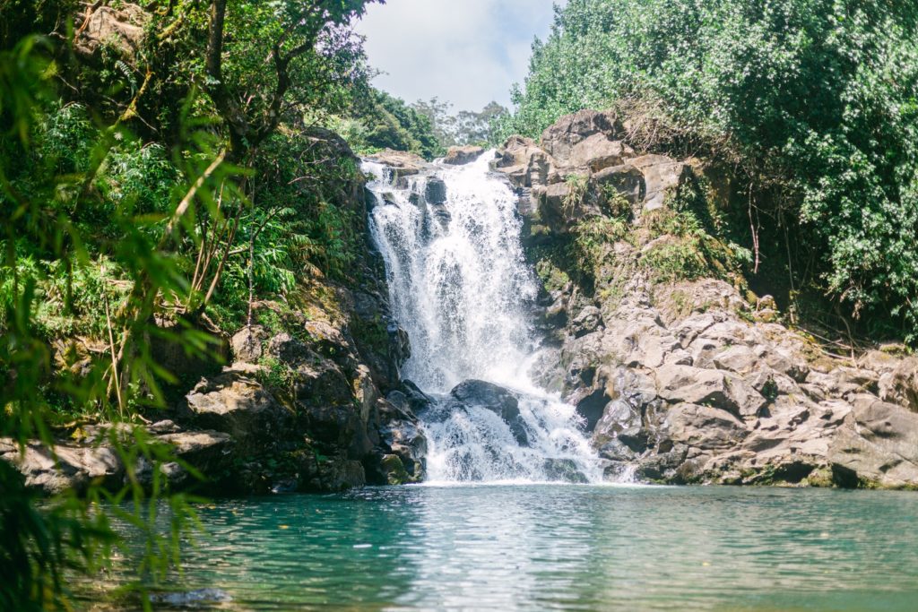 Perfect waterfall jungle location for adventurous fun family phots on Maui