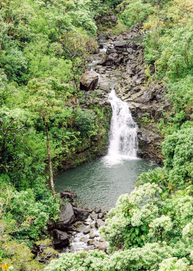 Waterfall on the road to hana garden of eden