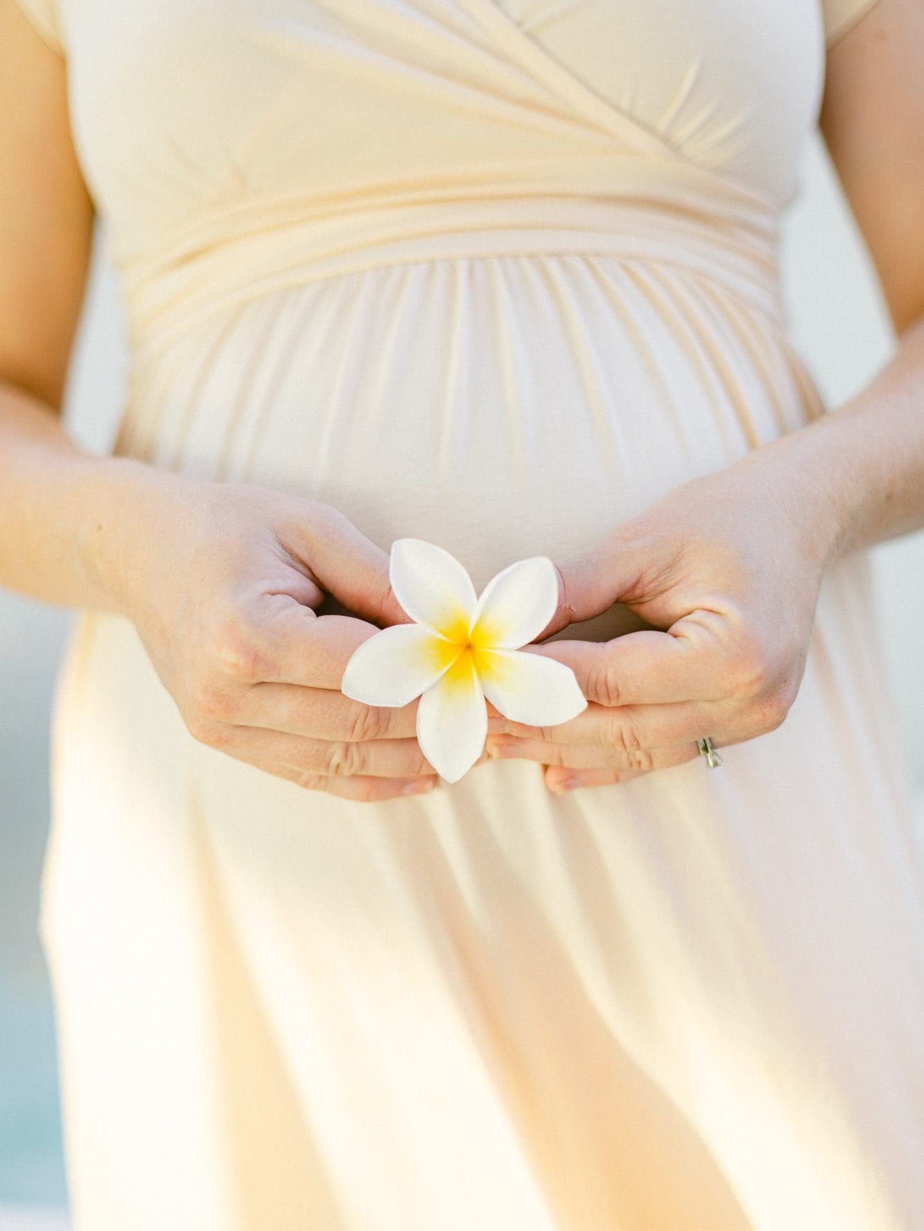 Plumeria flower held in front of a pregnant belly during a Maui babymoon session