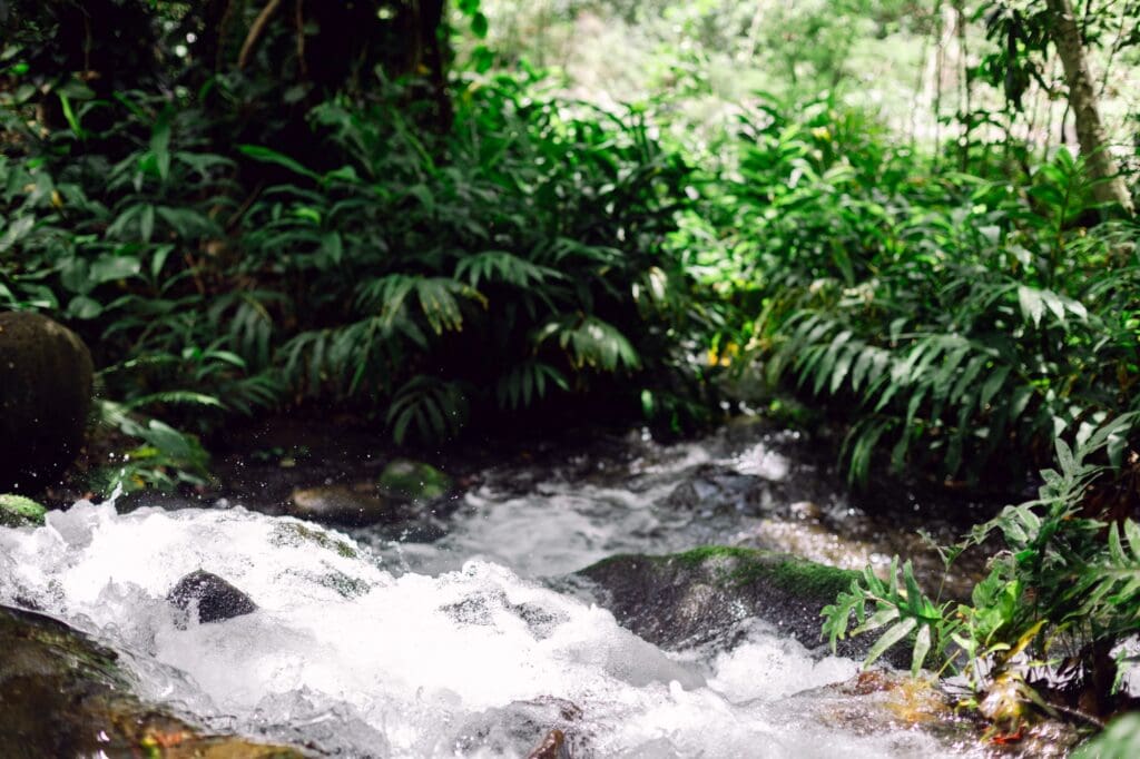 Detail shot of water flooding for safety tips on Maui babymoon 