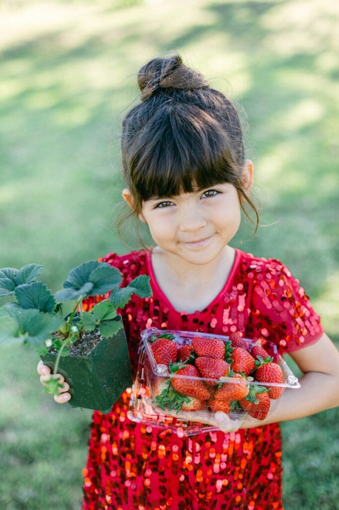 picking strawberries in upcountry maui for easter at kula country farms