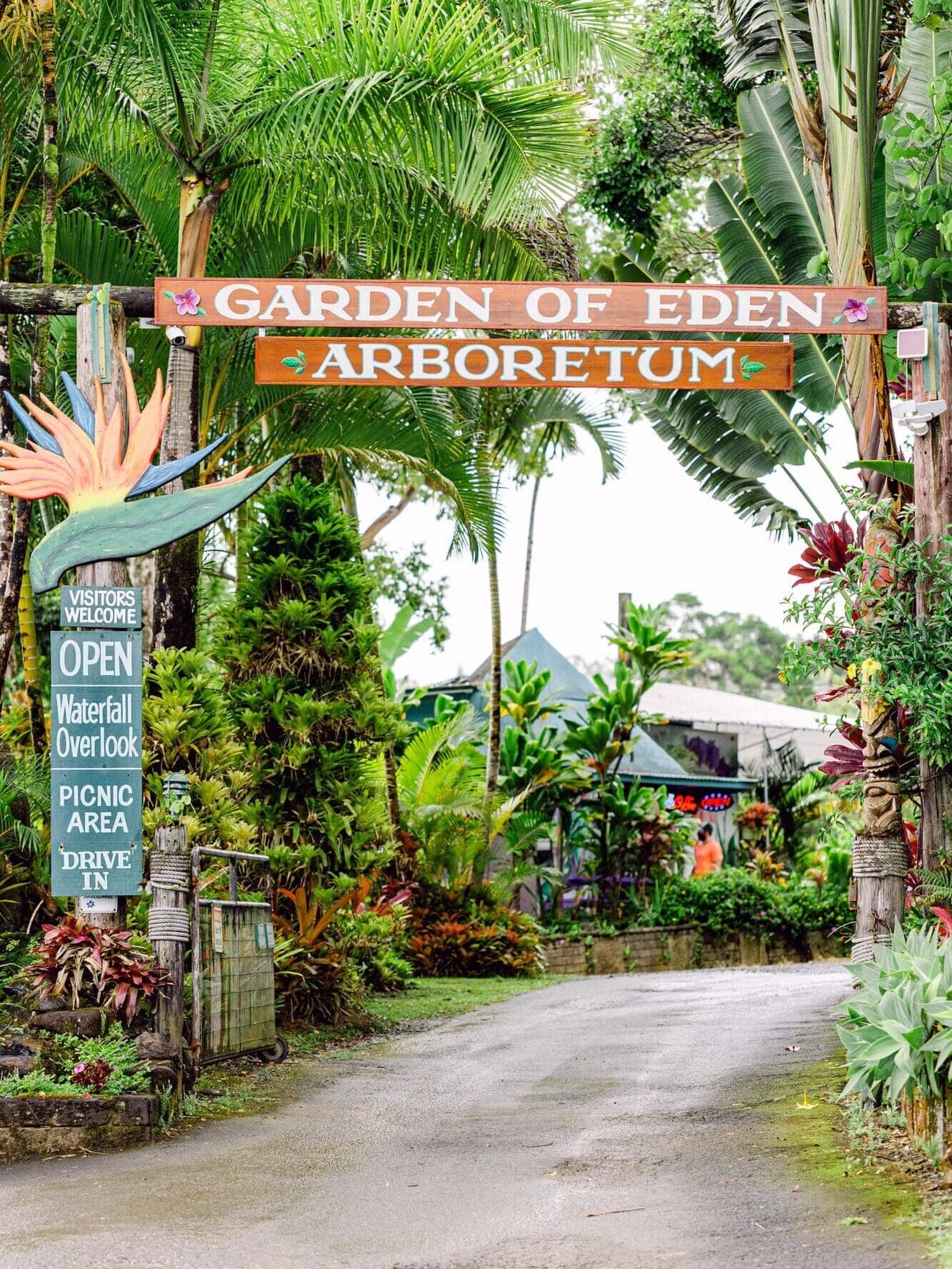 Garden of Eden Arboretum on Road To Hana for Maui babymoon