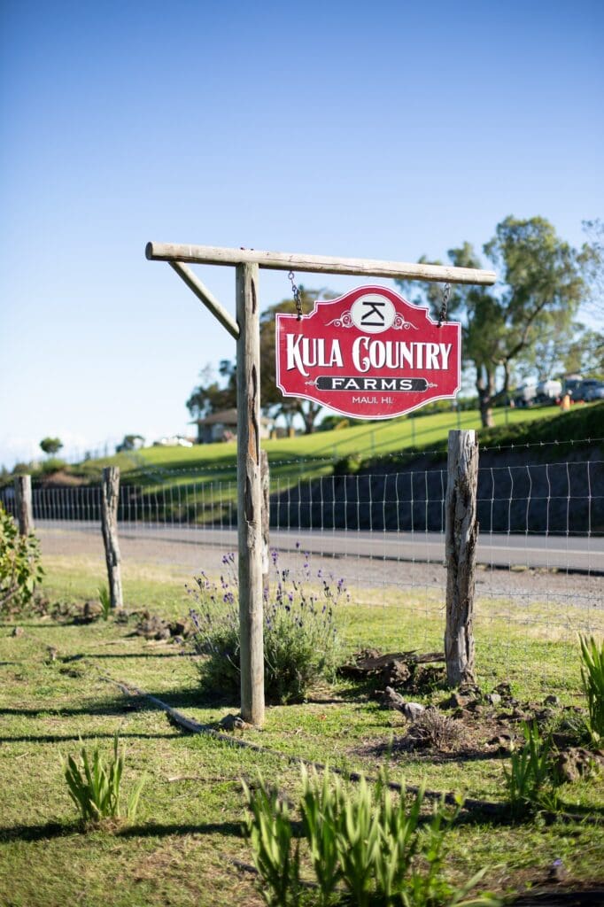 kula country farms in upcountry maui