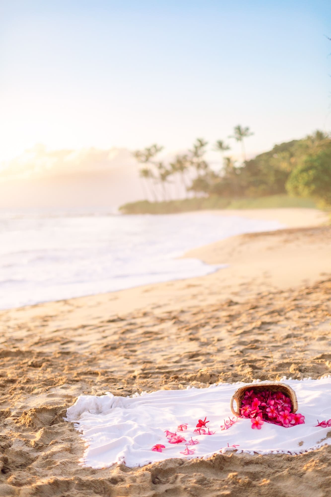 basket of pink plumeria spilling onto picnic blanket for sunset maternity photos in wailea