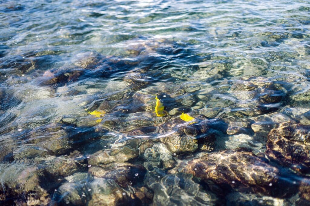 Detail photo of calm ocean on Maui for ocean safety tips for Maui babymoon