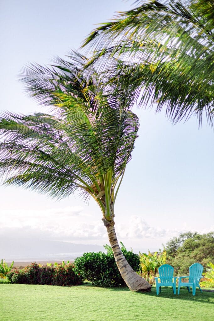 Seating area with two blue chairs under palm trees and ocean view at Ocean Vodka Cafe at the point 