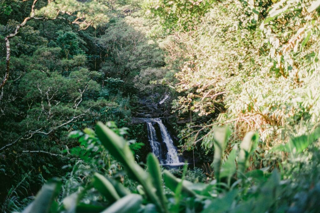 Waterfall on Road To Hana on Maui babymoon