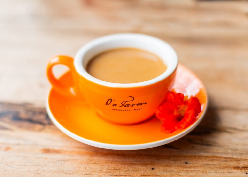 oo farms coffee cup during breakfast tour 