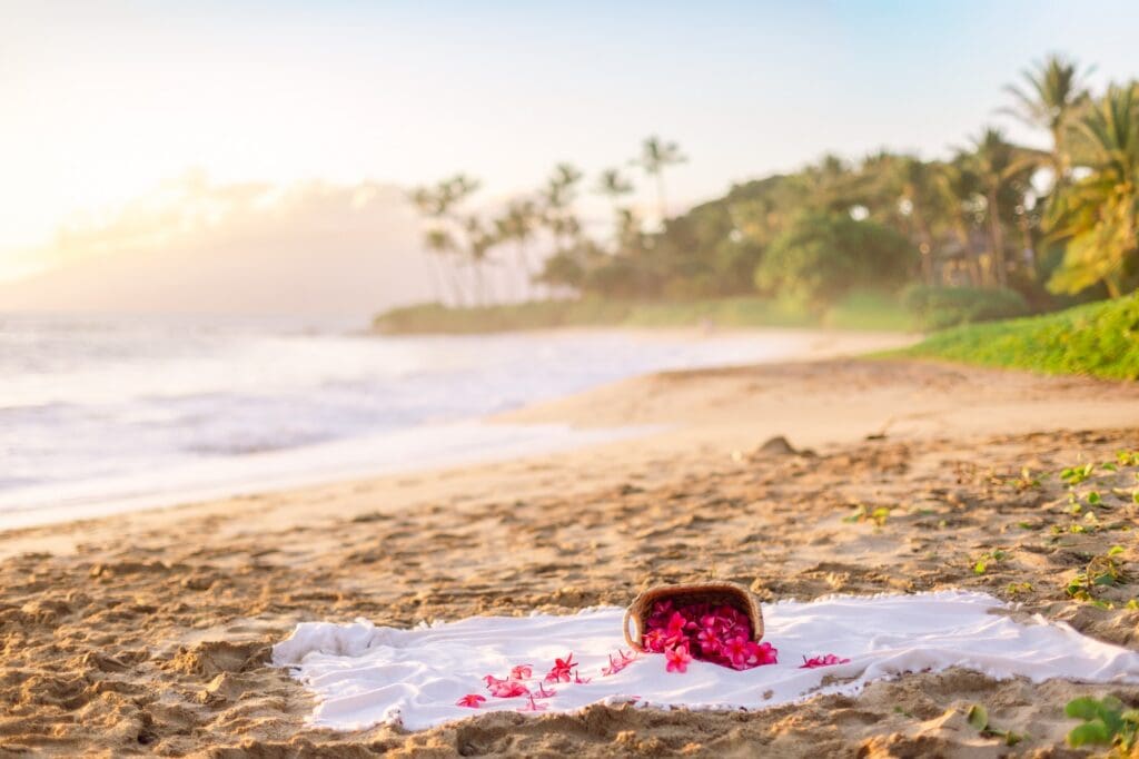 Vibrant pink plumeria flowers spilling from a rustic woven basket during a sunset maternity session in South Maui.