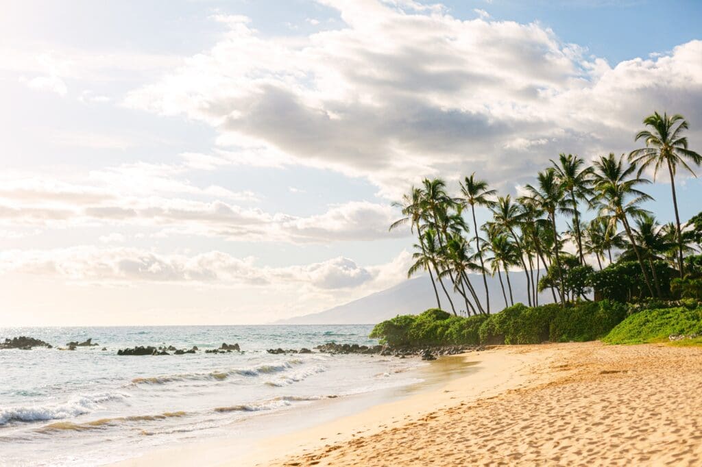 Golden sand and tropical palms at Palauea Beach, a peaceful South Maui location for a sunset maternity session.
